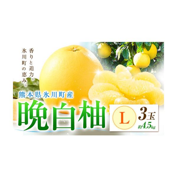 柑橘 晩白柚 L 3玉 4.5kg 日本フルーツ株式会社 熊本県氷川町 約4.5kg