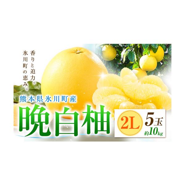 柑橘 晩白柚 2L 5玉 10kg 日本フルーツ株式会社 熊本県氷川町 約10kg