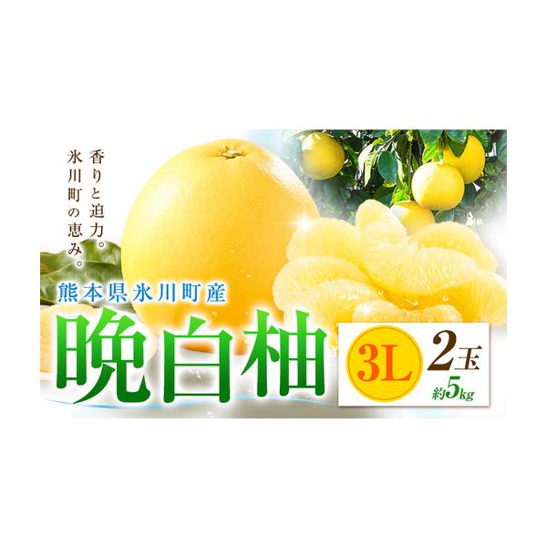 柑橘 晩白柚 3L 2玉 5kg 日本フルーツ株式会社 熊本県氷川町 約5kg