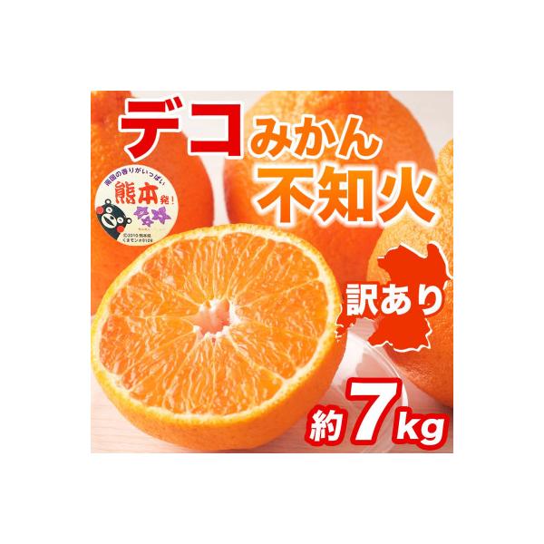 荒尾市 【先行予約】 訳あり 熊本県産 甘さと酸味が絶妙! 不知火 デコみかん 約7kg(荒尾市)
