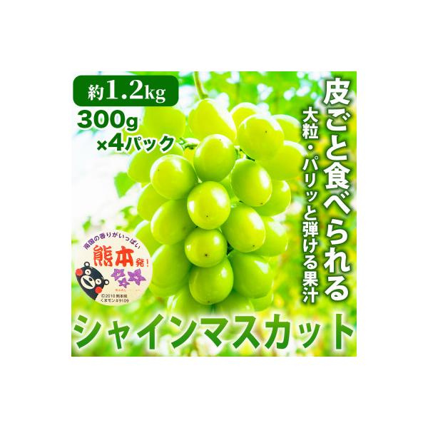 宇城市 熊本県 宇城市産 甘みが強く香り高いぶどう! シャインマスカット 4P 約1.2kg(宇城市)