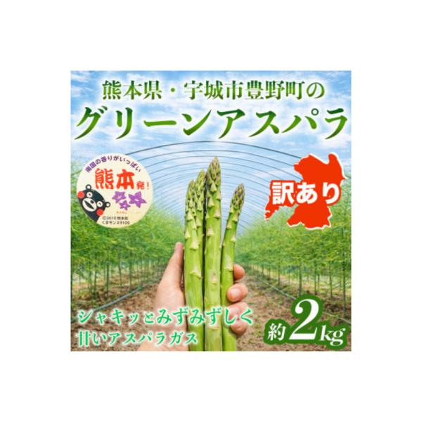 宇城市 【訳あり】 熊本 宇城市産 アスパラガス S〜L 約2kg【日本フルーツ株式会社】(宇城市)