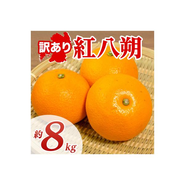八代市 【先行予約】【訳あり】紅八朔 約8kg【2027年1月下旬より順次発送】_232-6806