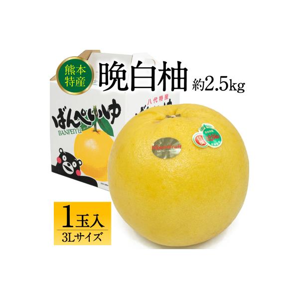 八代市 【先行予約】八代市産 晩白柚 3L 1玉 【2026年12月上旬より順次発送】_232-6024-B 約2.5kg