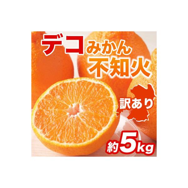 八代市 【先行予約】【訳あり】不知火 約5kg【2027年1月中旬より順次発送】_232-6724