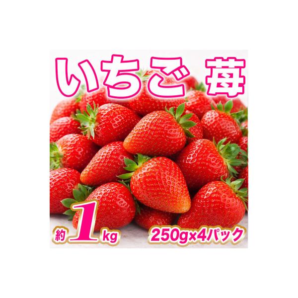八代市 【先行予約】いちご約1kg(約250g×4)【2027年1月上旬より順次発送】_232-4629-C 約250g〜1kg