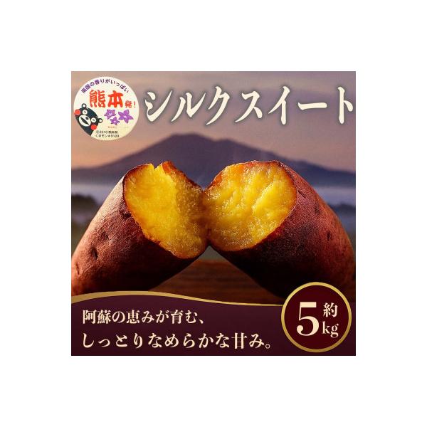 熊本市 シルクスイート さつまいも 約5kg(熊本市)