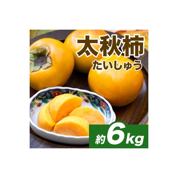 八代市 【先行予約】太秋柿約6kg(16〜30玉)【2026年10月上旬より順次発送】_232-6032-A