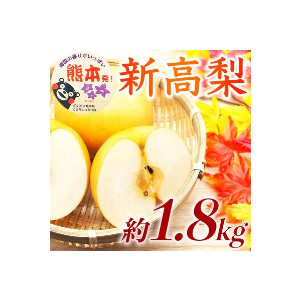 球磨村 熊本県 球磨村産 大玉で贈答用にも! シャリシャリ食感! 新高梨 5〜8玉 約1.8kg(球磨村)