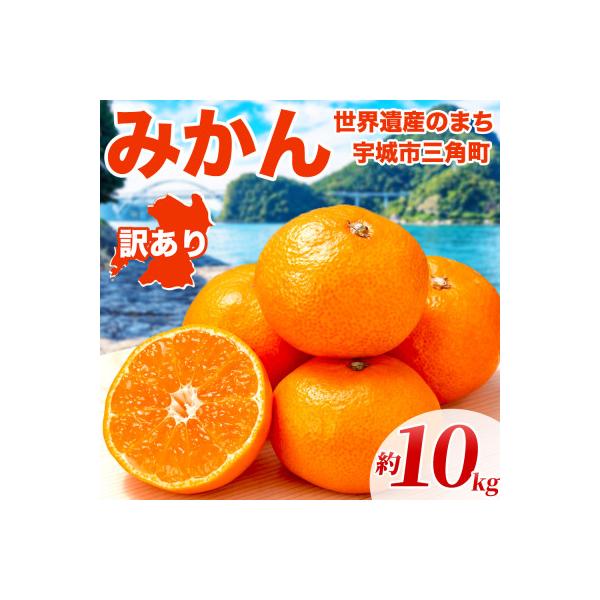 宇城市 【先行予約】熊本県 宇城市産 ご家庭用 訳あり みかん 3S〜3L 約10kg(宇城市)