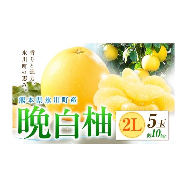 みかん・柑橘類 熊本県 氷川町 柑橘 晩白柚 2L 5玉 10kg 日本フルーツ株式会社《12月上旬-2月末頃出荷》熊本県 氷川町 ばんぺいゆ 果物 フルーツ… 約10kg