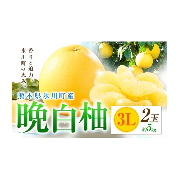 みかん・柑橘類 熊本県 氷川町 柑橘 晩白柚 3L 2玉 5kg 日本フルーツ株式会社《12月上旬-2月末頃出荷》熊本県 氷川町 ばんぺいゆ 果物 フルーツ … 約5kg