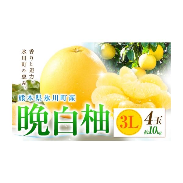 みかん・柑橘類 熊本県 氷川町 柑橘 晩白柚 3L 4玉 10kg 日本フルーツ株式会社《12月上旬-2月末頃出荷》熊本県 氷川町 ばんぺいゆ 果物 フルーツ… 約10kg