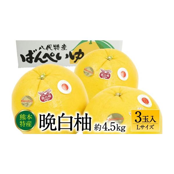 みかん・柑橘類 熊本県 八代市 令和8年熊本地震復興支援 先行予約 晩白柚 ばんぺいゆ Lサイズ 3玉 約4.5kg 果物 果実 くだもの フルーツ 柑橘 柑…