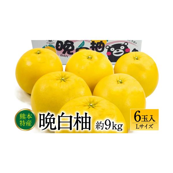 みかん・柑橘類 熊本県 八代市 令和8年熊本地震復興支援 先行予約 晩白柚 ばんぺいゆ Lサイズ 6玉 約9kg 果物 果実 くだもの フルーツ 柑橘 柑橘…