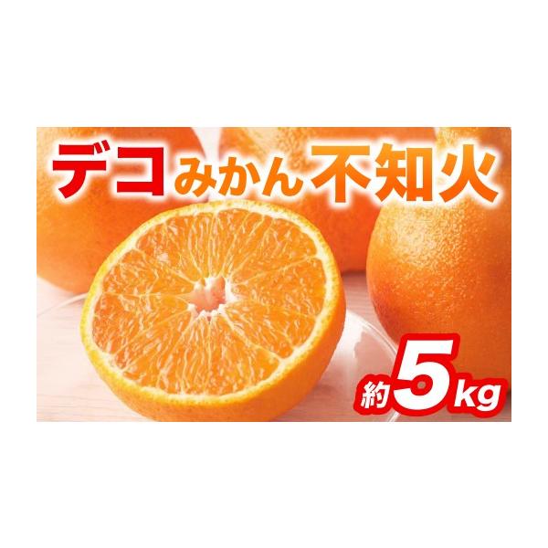 みかん・柑橘類 熊本県 八代市 令和8年熊本地震復興支援 先行予約 不知火 デコみかん (デコポン同品種) 約5kg (12〜24玉) フルーツ くだもの 果…