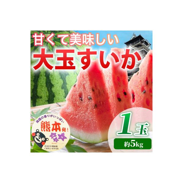 合志市 【先行予約】 熊本県産 甘くて美味しい!! 大玉すいか 1玉 L以上 約5kg以上(合志市)