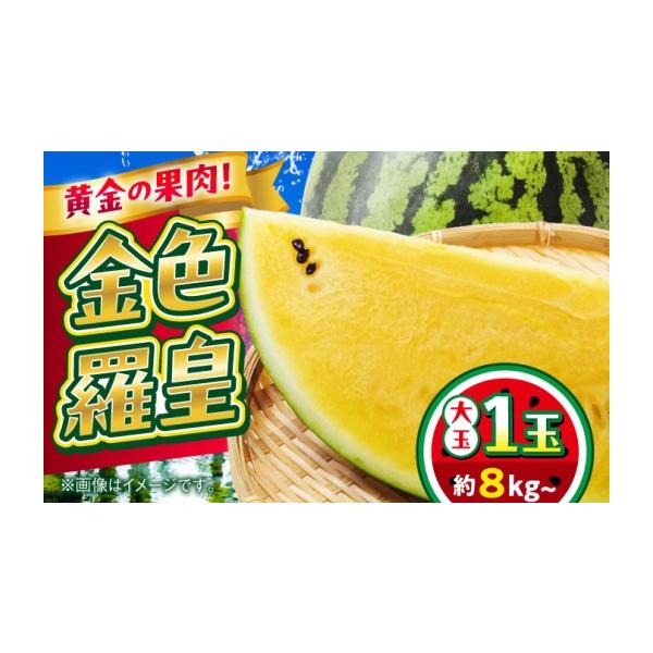 スイカ 熊本県 合志市 先行予約 2027年5月上旬から順次発送 金色羅皇 黄色いスイカ 1玉 約8kg ／ スイカ すいか 西瓜 suika watermelon 金色羅…