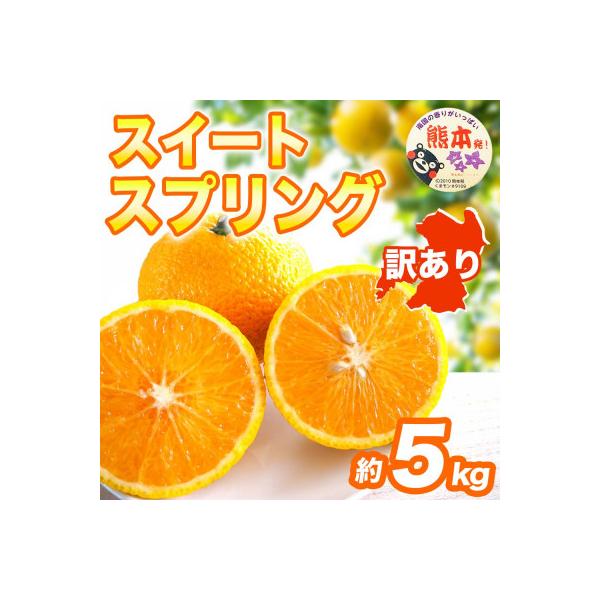 宇城市 【先行予約】 熊本県 宇城市産 季節限定 訳あり スイートスプリング みかん 約5kg(宇城市)