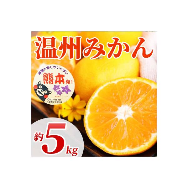 宇城市 【先行予約2026年10月上旬より】熊本県 宇城市産 温州みかん 2S〜2L 約5kg(宇城市)