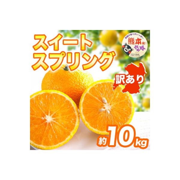 宇城市 【先行予約】 熊本県 宇城市産 季節限定 訳あり スイートスプリング みかん 約10kg(宇城市)
