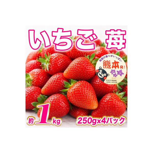 山鹿市 【先行予約! 2027年1月上旬〜発送】熊本県産 苺 いちご 約1kg (250g×4P)(山鹿市) 約250g〜1kg