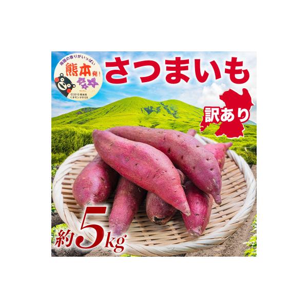 山鹿市 訳あり さつまいも 約5kg(山鹿市)
