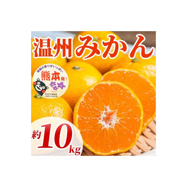 山鹿市 【先行予約】 熊本県産 旬のミカン! 温州みかん 2S〜2L 約10kg(山鹿市)