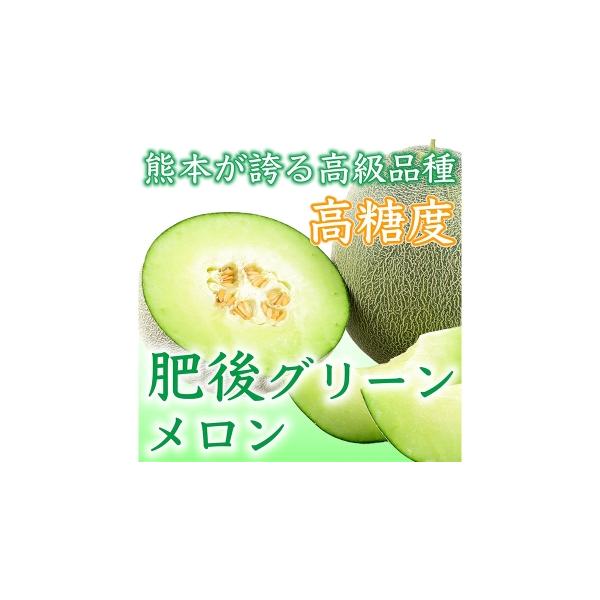 メロン メロン青肉 熊本県 熊本市 肥後グリーンメロン 2玉 4L以上 （ 約4kg ） メロン めろん グリーンメロン 青肉メロン 果物 くだもの フルー…