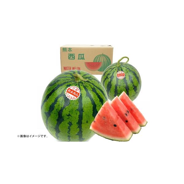 スイカ 熊本県 熊本市 大玉すいか 1玉入り S以上 約2kg 先行予約 スイカ 西瓜 すいか 熊本すいか 果物 くだもの 果実 フルーツ 2027年5月上旬 〜…