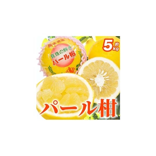 みかん・柑橘類 熊本県 熊本市 2027年1月下旬〜2月下旬迄発送予定 パール柑 文旦 6 〜 18玉 約5kg 柑橘類 柑橘系 柑橘 果物 くだもの フルーツ …
