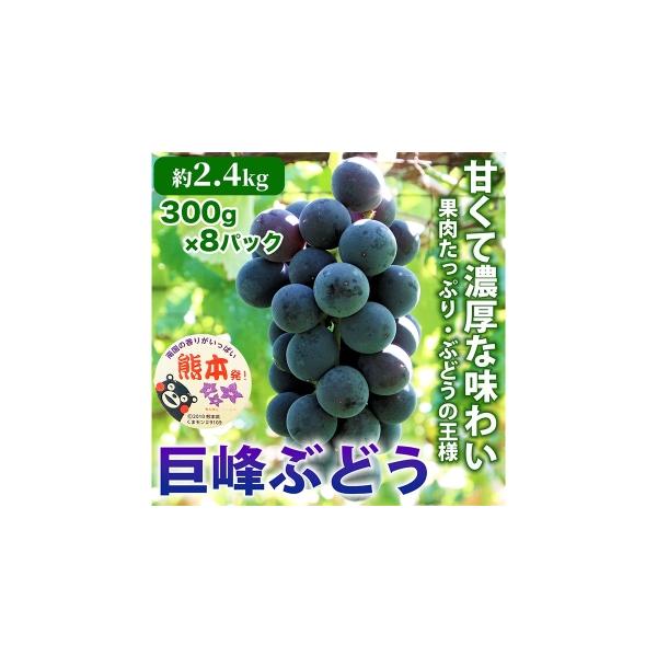 ぶどう 巨峰 熊本県 熊本市 巨峰 ぶどう 8パック 約2.4kg ブドウ 葡萄 高級ぶどう 高級 ぶどうの王様 大粒 果物 くだもの フルーツ 果実 果汁 果…