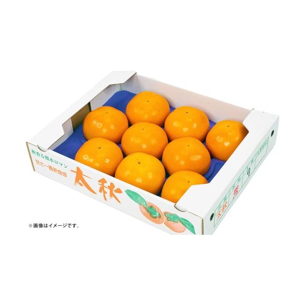 果物類 柿 熊本県 熊本市 太秋柿 約2kg （ 4 〜 8玉 ） 柿 かき カキ 果物 くだもの フルーツ 果実 果肉 食感 甘み 国産 熊本県産 冷蔵 2026年10…