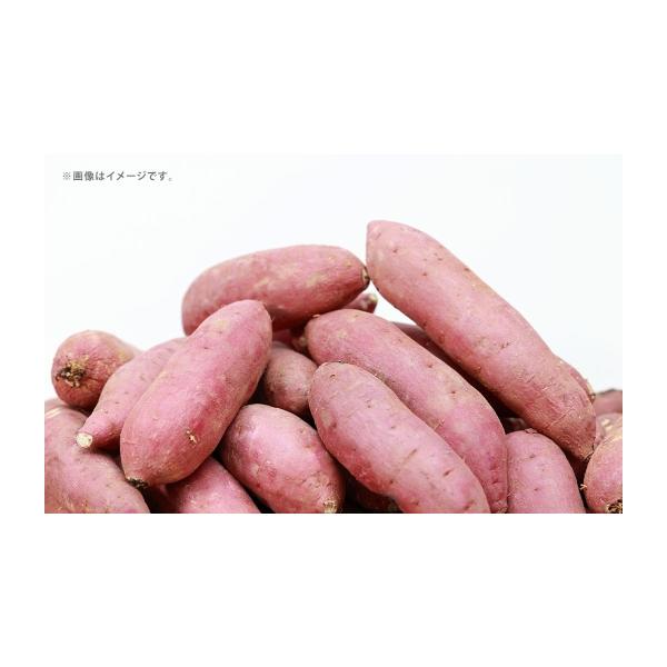 野菜類 サツマイモ 熊本県 熊本市 シルクスイート さつまいも 約5kg サツマイモ いも イモ 芋 野菜 やさい 焼き芋 焼芋 焼きいも スイートポテト…