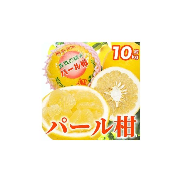 みかん・柑橘類 熊本県 熊本市 2027年1月下旬〜2月下旬迄発送予定 パール柑 文旦 12 〜 36玉 約10kg 柑橘類 柑橘系 柑橘 果物 くだもの フルー…