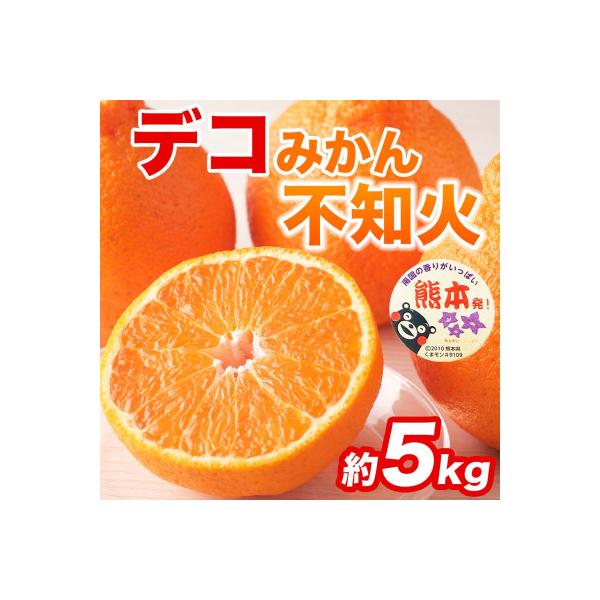 荒尾市 不知火 デコみかん(デコポンと同品種)12〜24玉 約5kg(荒尾市)