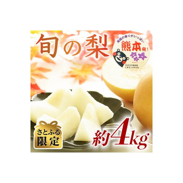 和水町 【さとふる限定】数量限定 秋のフルーツおすすめ! 熊本県産旬の梨(豊水・秋月・新高)約4kg 和水町
