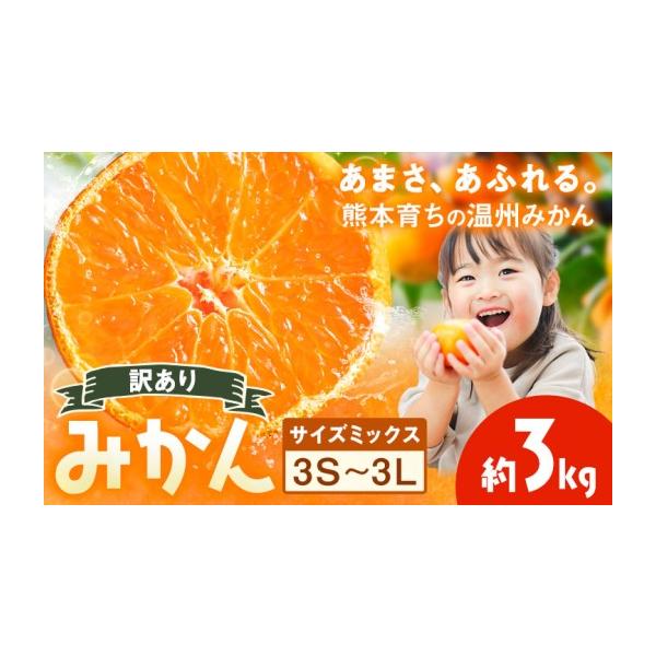 みかん・柑橘類 熊本県 荒尾市 訳あり 温州みかん サイズミックス 3S 〜 3L 約3kg 日本フルーツ株式会社《10月中旬-2月下旬頃出荷予定》熊本県 …