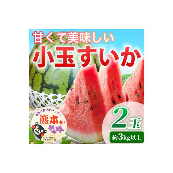 菊池市 【先行予約】 熊本県産 甘い! シャリ感! 小玉すいか スイカ 2玉入り 3L(約3kg以上)