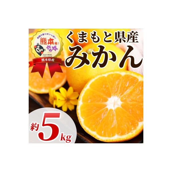 長洲町 温州みかん 2S-2L 約5kg(長洲町)