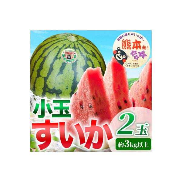 玉名市 【先行予約】 熊本県産 シャリシャリ食感! 高糖度! 小玉すいか 2玉 3Lサイズ 約3kg以上