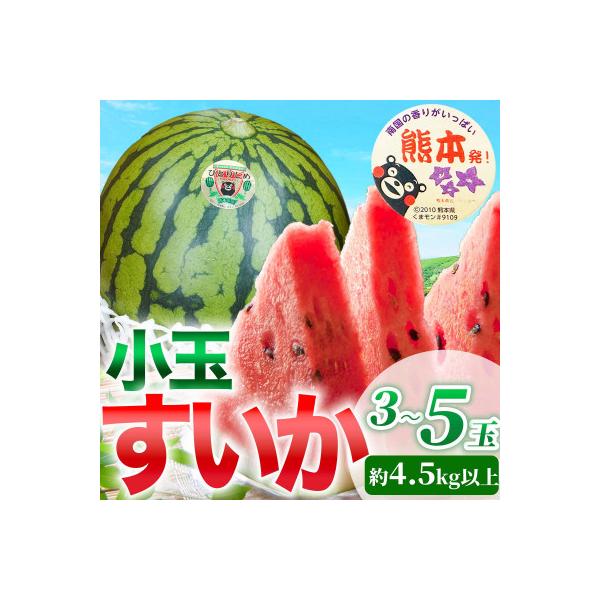 玉名市 【先行予約】 熊本県産 シャリシャリ食感! 小玉すいか 3〜5玉 M〜3Lサイズ 約4.5kg以上