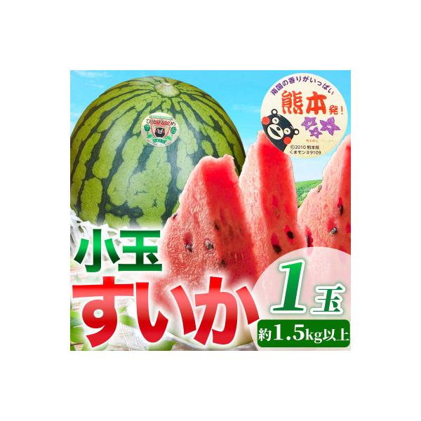 和水町 【先行予約】 熊本県産 高糖度! シャリシャリ食感! 小玉すいか 1玉 3Lサイズ 約1.5kg以上