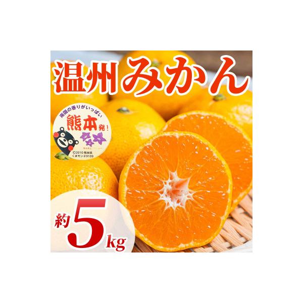 和水町 【先行予約】熊本県産 高糖度でジューシーな味わい! 温州みかん 2S〜2L 約5kg(和水町)