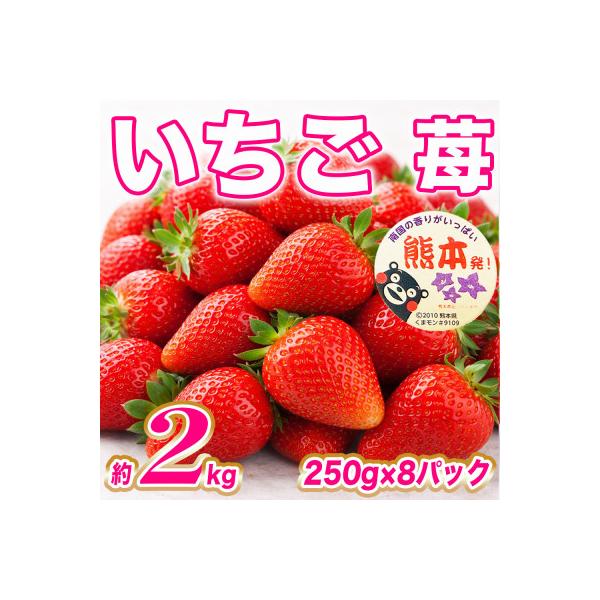 和水町 【先行予約! 2027年1月上旬〜】 熊本県産 苺 いちご 約2kg(250g×8P)(和水町) 約250g〜2kg