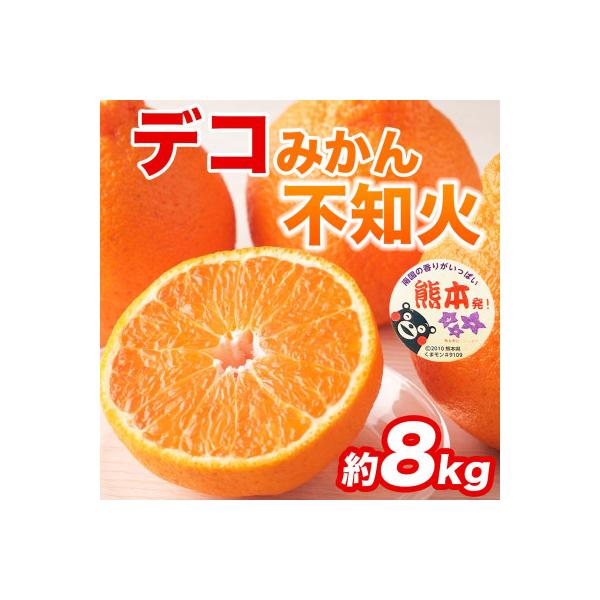 和水町 不知火 デコみかん(デコポンと同品種)18〜37玉 約8kg(和水町)