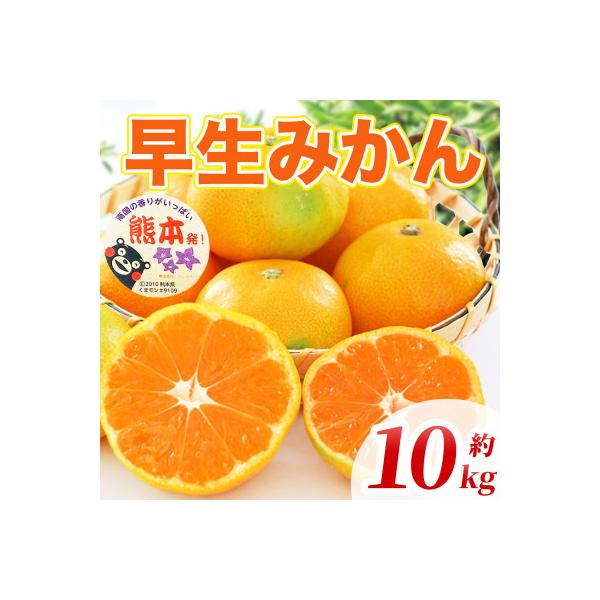和水町 早生みかん 2S〜2L 約10kg(和水町)
