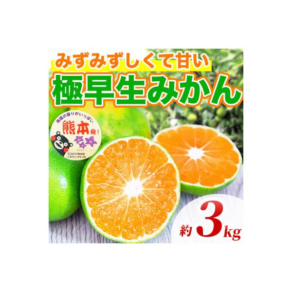 和水町 極早生みかん 2S〜2L 約3kg(和水町)