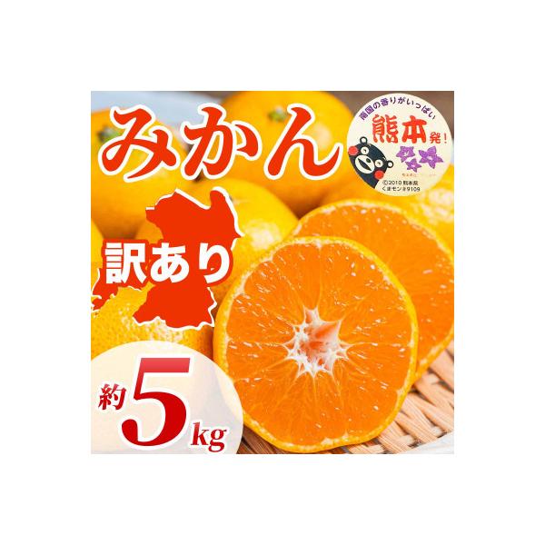 水俣市 【先行予約】熊本県 水俣市産 訳あり みかん サイズミックス 3S〜3L 約5kg (水俣市)