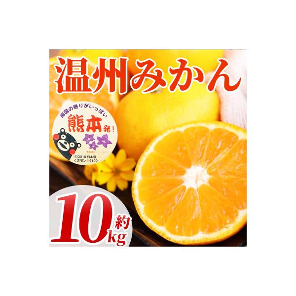 水俣市 【先行予約】熊本県水俣市産 高糖度でジューシーなみかん!温州みかん 2S〜2L 約10kg(水俣市)